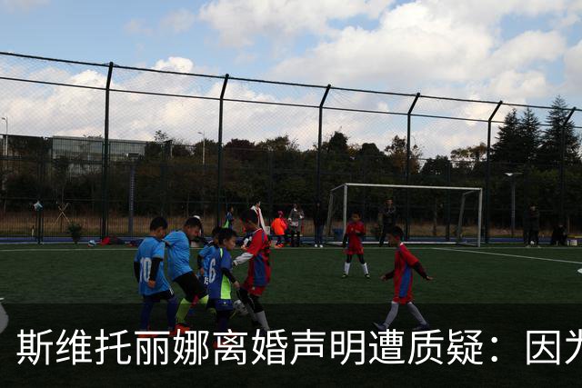 斯维托丽娜离婚声明遭质疑：因为战争就要离婚？别打球了去打仗吧